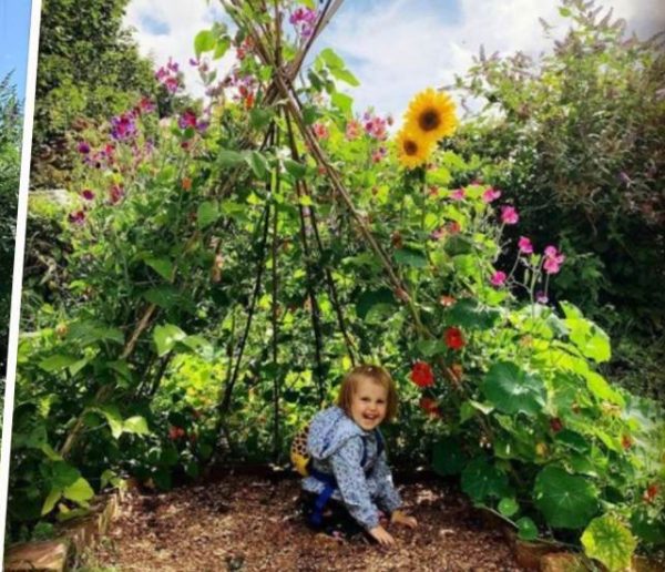 Construisez une cabane en haricots avec vos enfants !