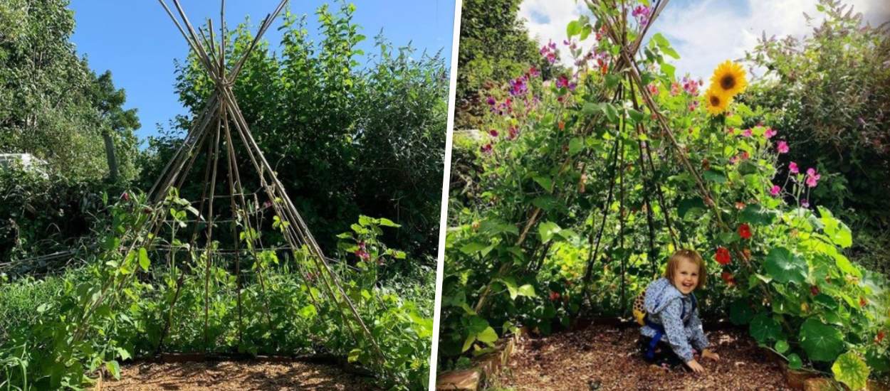 Construisez une cabane en haricots avec vos enfants !