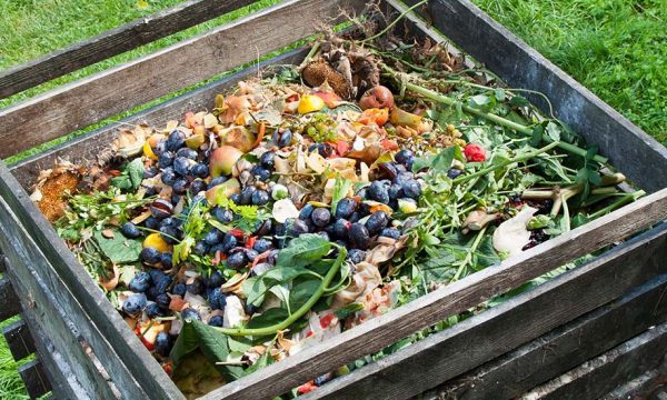 Comment réussir son compost : le guide complet