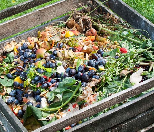 Comment réussir son compost : le guide complet