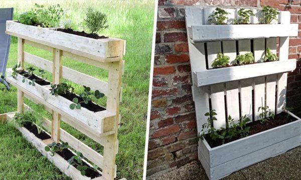 6 tutoriels pour fabriquer un petit potager en palette