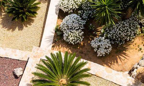 Aménagement extérieur : concevez un jardin sec, économe en eau