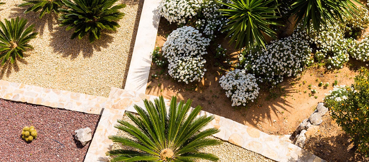 Aménagement extérieur : concevez un jardin sec, économe en eau