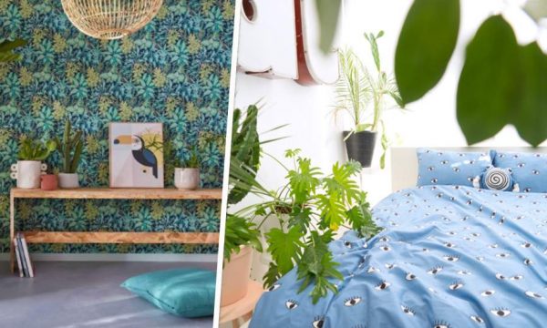 Chambre à coucher : 6 inspirations pour installer des plantes du sol au plafond