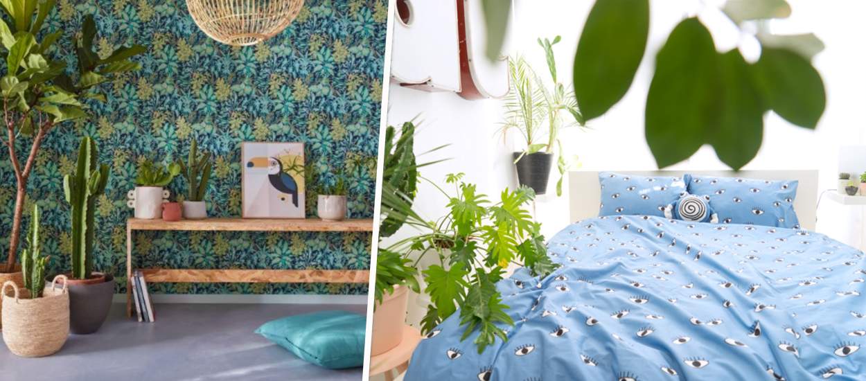 Chambre à coucher : 6 inspirations pour installer des plantes du sol au plafond