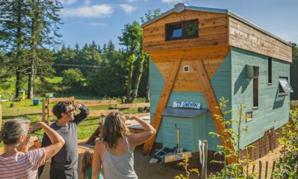 On est sous le charme de cette tiny house qui propose de cohabiter avec les abeilles