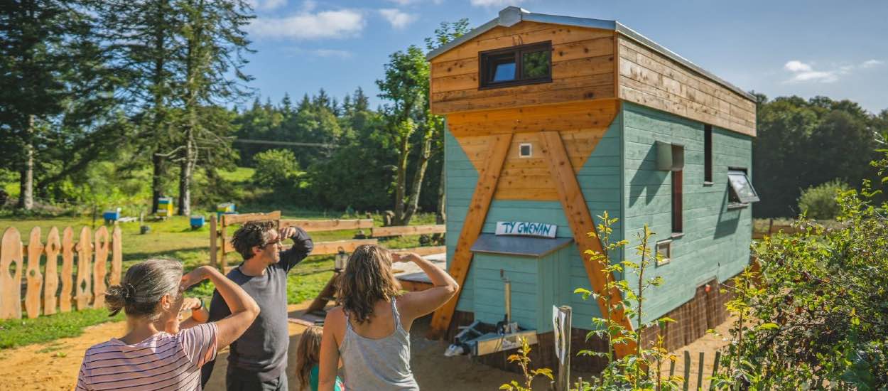 On est sous le charme de cette tiny house qui propose de cohabiter avec les abeilles