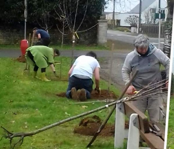 Des fruits pour tous : cette association crée un verger partagé sur un terrain inoccupé