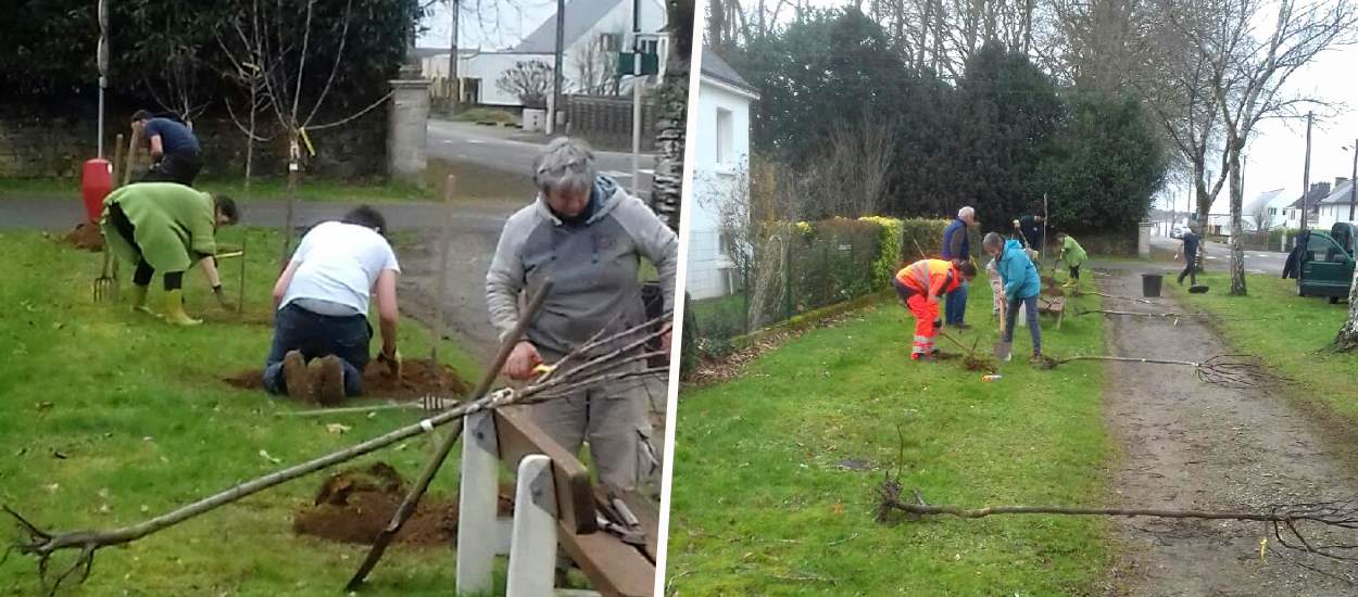 Des fruits pour tous : cette association crée un verger partagé sur un terrain inoccupé