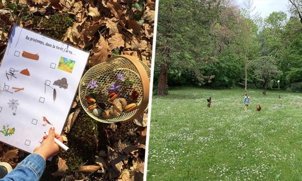 Des chasses aux trésors de printemps gratuites pour éveiller les enfants à la nature