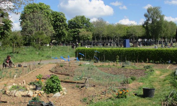 Jardin partagé : ce collectif brestois cultive dans un cimetière !