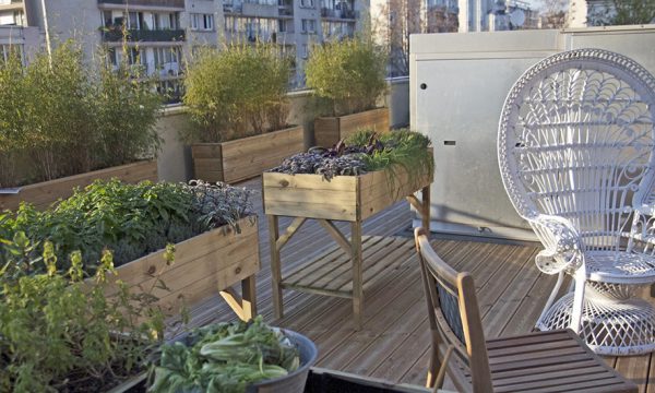 Pollution des fruits et légumes cultivés en ville, comment l'éviter ?
