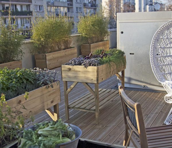 Pollution des fruits et légumes cultivés en ville, comment l'éviter ?