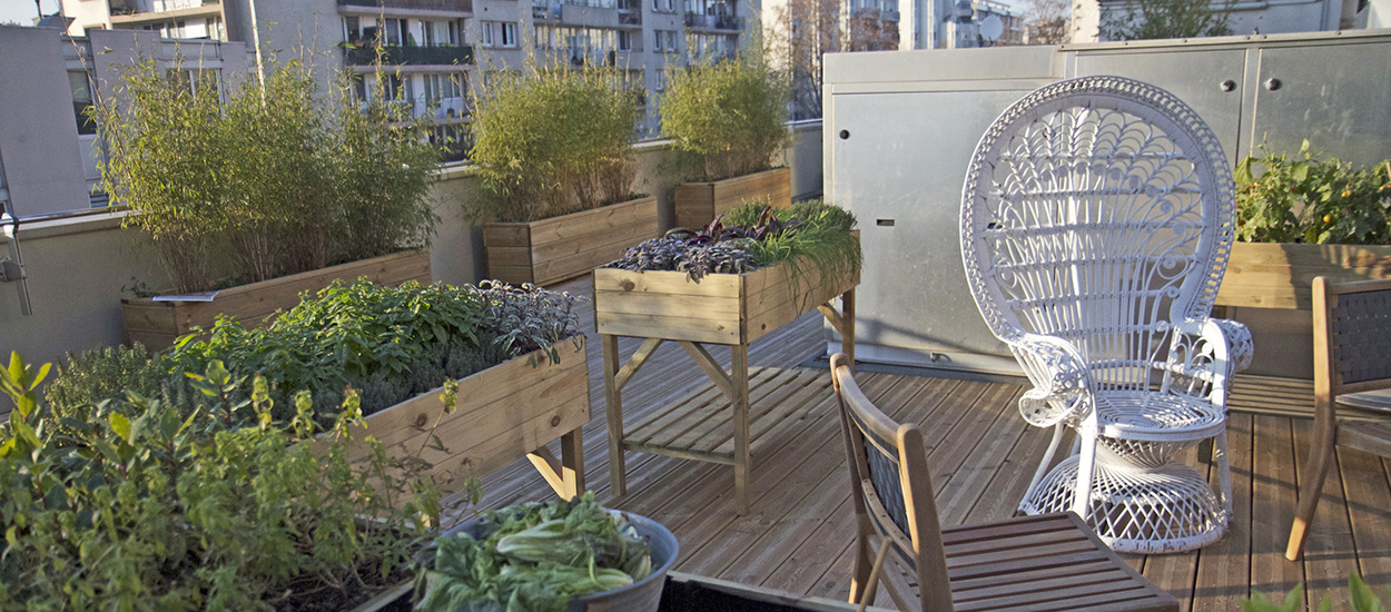 Pollution des fruits et légumes cultivés en ville, comment l'éviter ?