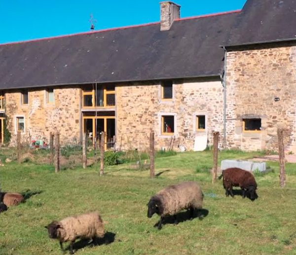 12 amis ont rénové une vieille ferme en Bretagne pour en faire un habitat partagé écolo