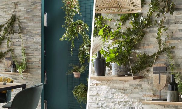 Tuto : Aménagez un mur végétal comme en pleine nature