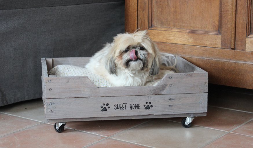 Bricolage et décoration - Panier pour chien avec une vieille valise 🐶❤️ 24  idées récup pour réutiliser des objets que vous pensiez bons pour la  poubelle