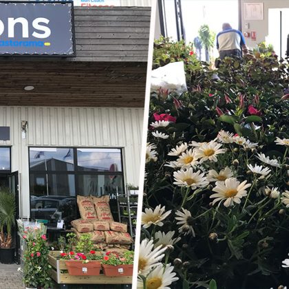 Castorama teste un magasin 100% jardin qui changera son offre en fonction des saisons