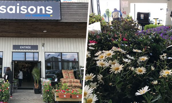 Castorama teste un magasin 100% jardin qui changera son offre en fonction des saisons