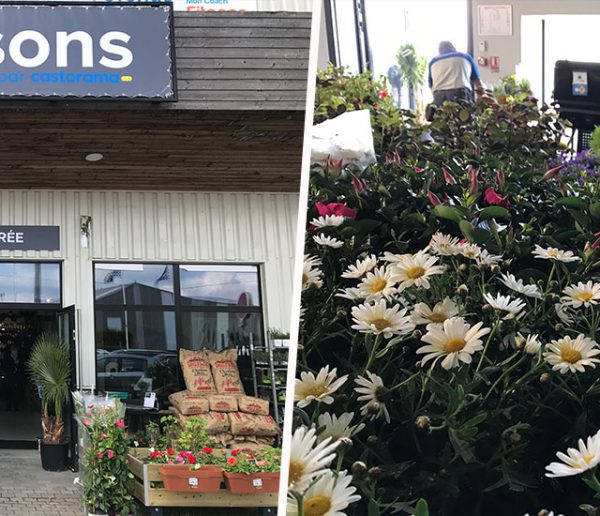 Castorama teste un magasin 100% jardin qui changera son offre en fonction des saisons