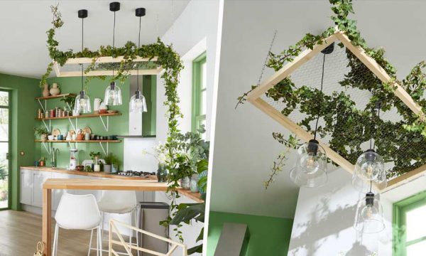 Tuto : Réalisez un cadre suspendu pour y faire grimper vos plantes et végétaliser votre plafond
