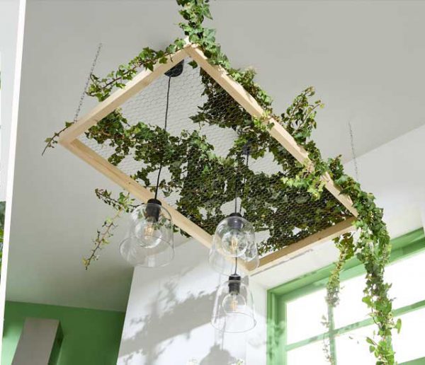 Comment accrocher une plante en suspension et végétaliser le plafond ?