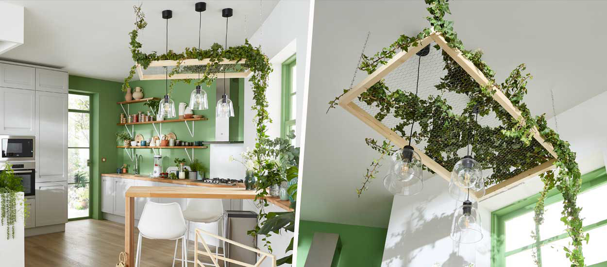 Comment accrocher une plante en suspension et végétaliser le plafond ?
