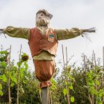 Un épouvantail trône au milieu d'un jardin potager