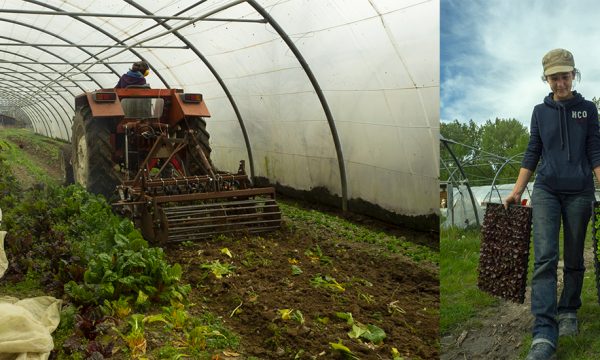 Claire a quitté sa vie d'ouvrière pour devenir maraîchère bio en AMAP