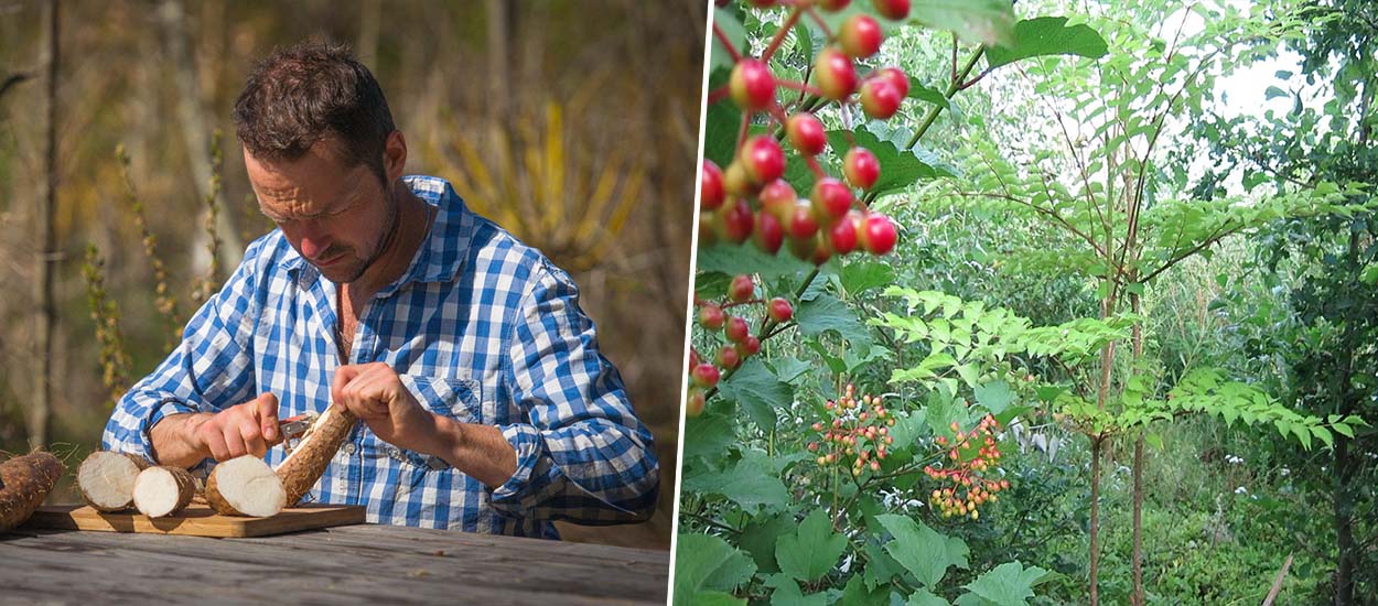 Le jardin-forêt, “un lieu de partage où l'on va vivre, se nourrir et où les oiseaux et mammifères reviennent”