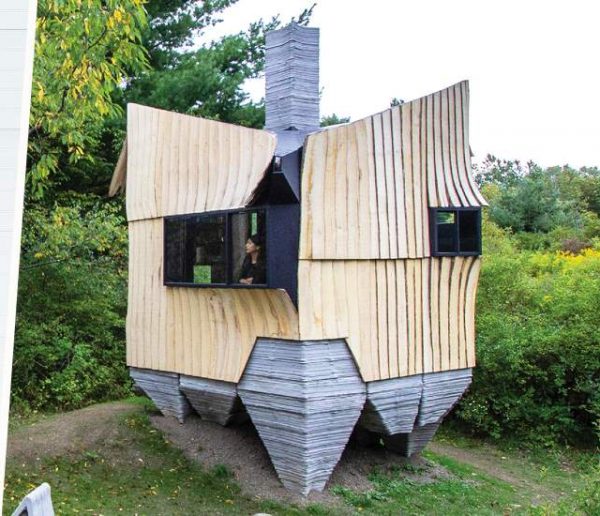 Ces architectes ont trouvé la solution pour construire des maisons avec du bois infesté (au lieu de le brûler)