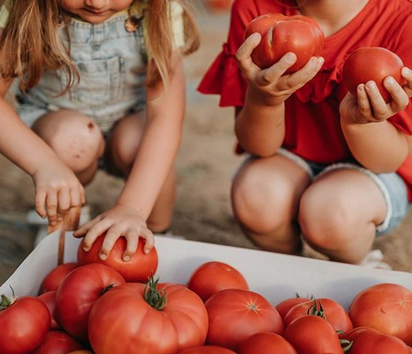 Potager : les 8 légumes très rentables à cultiver au début de l'été !