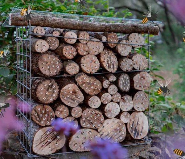 Tuto : Fabriquez un hôtel à abeilles solitaires pour favoriser la pollinisation de votre jardin