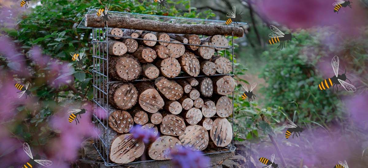 Comment construire un hôtel pour abeilles pollinisatrices sauvages ?