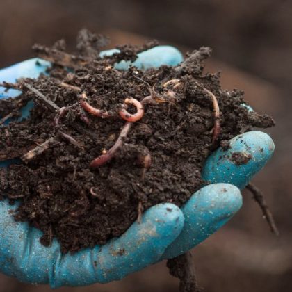 Ce compost écologique et solidaire est issu de la valorisation des déchets de restaurants