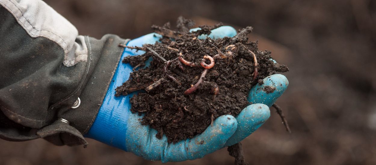 Ce compost écologique et solidaire est issu de la valorisation des déchets de restaurants