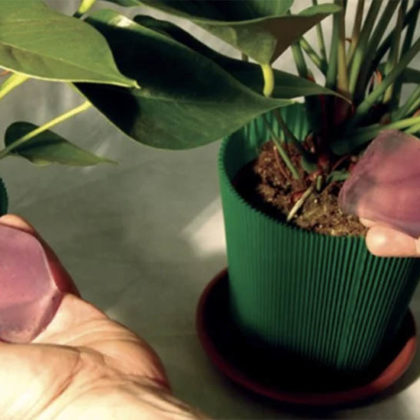 Pour éviter que vos plantes ne meurent de soif l'été, fabriquez du gel d'arrosage !