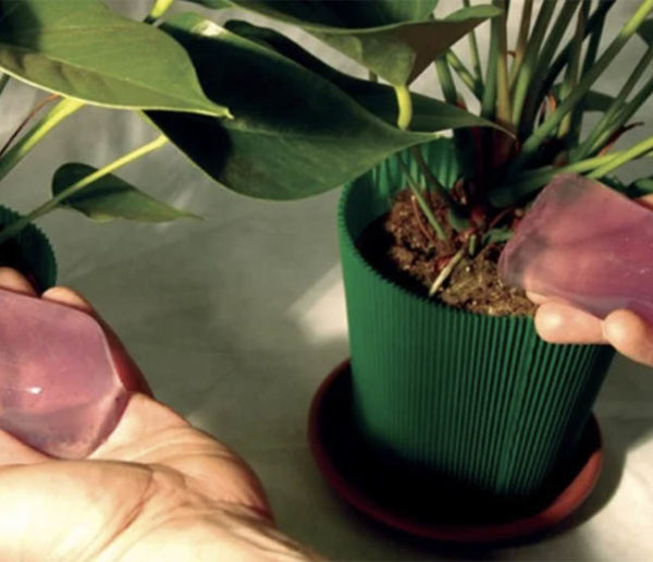 Comment fabriquer du gel d'arrosage avec de l'agar-agar ?