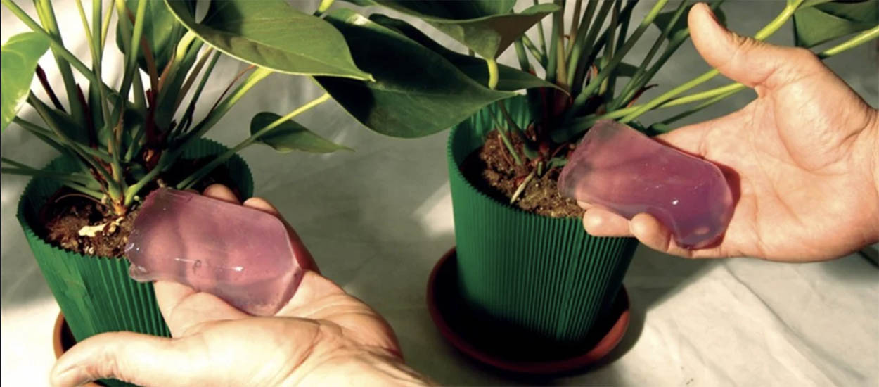 Comment fabriquer du gel d'arrosage avec de l'agar-agar ?