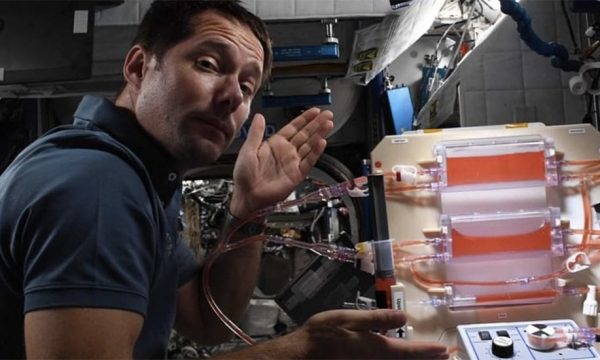 Découvrez comment Thomas Pesquet va faire pousser un potager dans l'espace