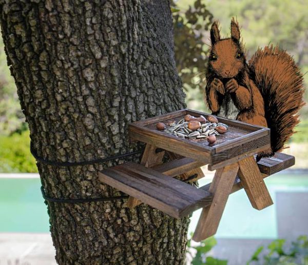 Tuto : Fabriquez une mangeoire façon table de pique-nique pour les écureuils  de votre jardin