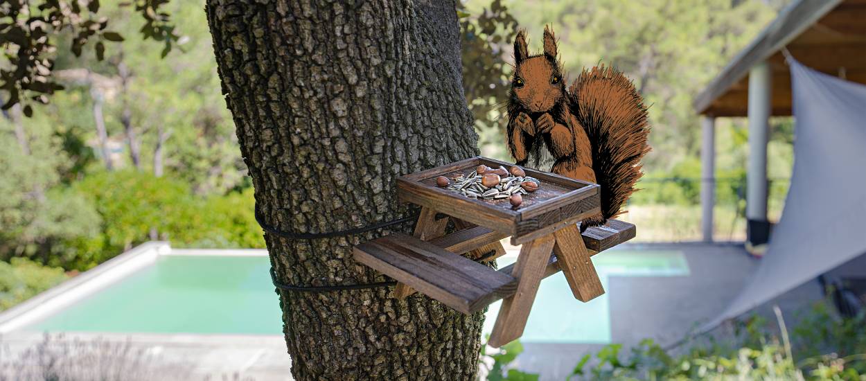 Tuto : Fabriquez une mangeoire façon table de pique-nique pour les écureuils  de votre jardin