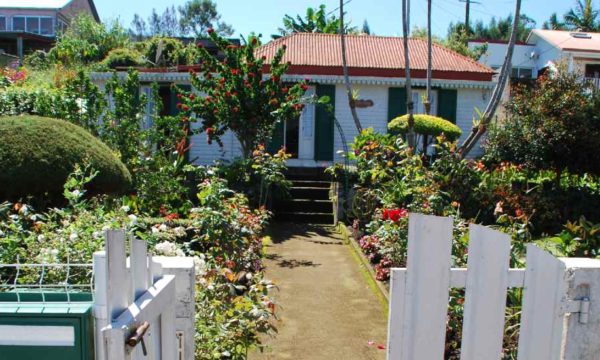 Découvrez l'art de cultiver un jardin créole, îlot de biodiversité et d'abondance