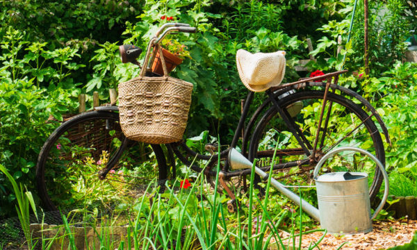 Cette association de jardiniers ne se déplace qu'à vélo pour limiter son impact carbone