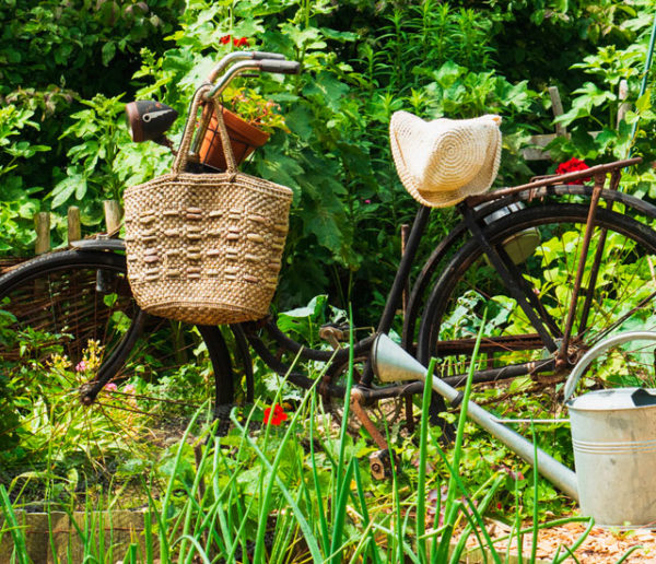 Cette association de jardiniers ne se déplace qu'à vélo pour limiter son impact carbone