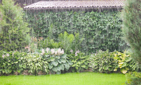 Aménagez votre jardin pour protéger votre maison des inondations