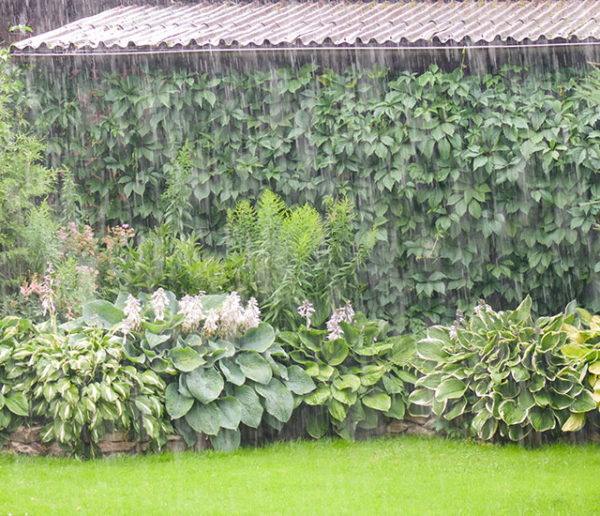 Aménagez votre jardin pour protéger votre maison des inondations