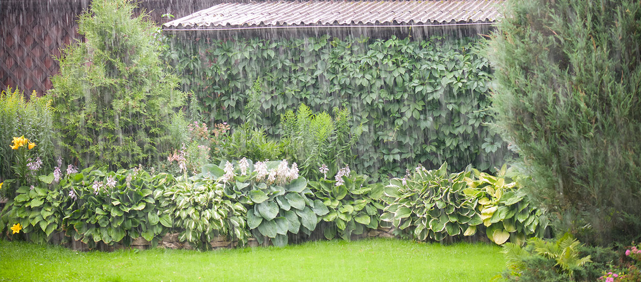 Aménagez votre jardin pour protéger votre maison des inondations