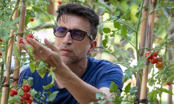 Qu'est-ce qui différencie un potager bio d'un jardin en permaculture ?