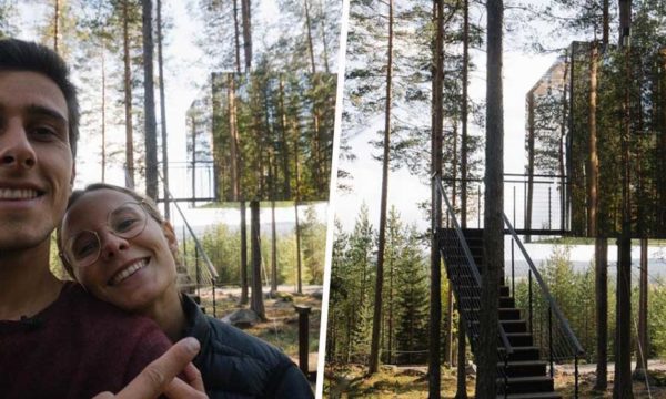 Ils ont testé : dormir dans une cabane invisible perchée dans les arbres